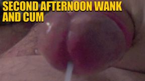 Second Afternoon Wank with Cum