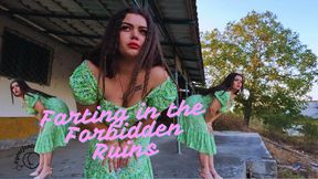 Farting in the Forbidden Ruins