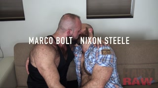 Bearded hunk Marco Bolt breeds pig Nixon Steele