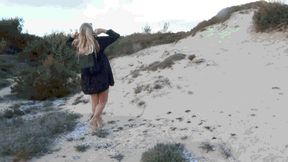 Sliding on the sand 2 AVI (1920x1080) FHD