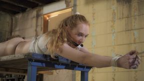 Ariel Anderssen Suspend pt5