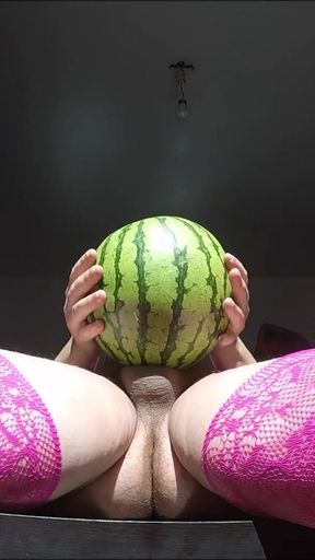 trans fucking a watermelon and cum   Clip 2