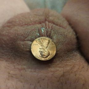 Smallest of small Penny Penis