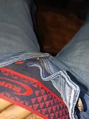 Dick in Pant
