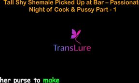English Audio Sex Story - Tall Shy Shemale Picked up at Bar - Passionate Night of Cock &amp; Pussy - Part 1