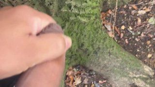 Outdoor car fun concluding with straight penis ejaculation