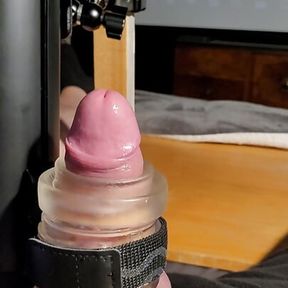 verbal masturbation and cumshot with thehandy