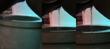 Unexpected Mishap in Sri Lanka: A Wild Adventure with SLWildGirl!