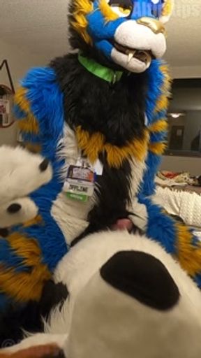 good kitty fucks the cum out of the bad dog then cums hands free