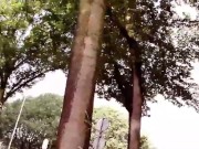 Slutboyben CAM4 Cock Milk In Public