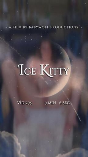 Vid295 – Ice Kitty