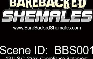Blonde Shemale Gets Banged From Behind