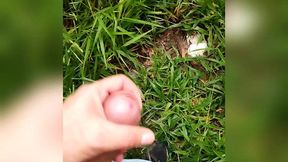 estava andado no parque um cara moreno me viu e me fez mamar e me fudeu gostoso.