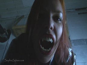 The Vampire and the Witch
