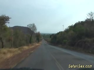 Wild african jeep sex safari