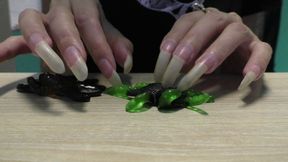 I cut off the legs of a sweet tarantula with my nails