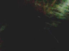 Best amateur forest, tent, blowjob porn scene