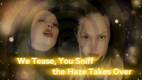 We Tease, You Sniff, and the Haze Takes Over