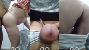 coroa rabuda fazendo amor