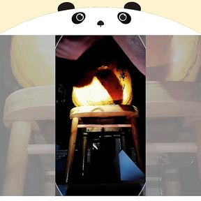 A Fun Pumpkin Fucking Medley!