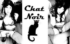 Chat Noir