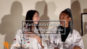 Martial Arts Goddess and Alison taekwondo kicking action together