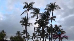 Virtual vacation in Hawaii with Peyton Coast part 1