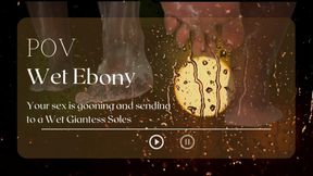 POV WET EBONY