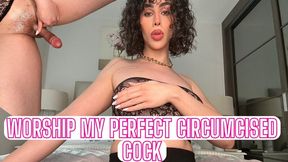 Worship My Perfect Circumcised Cock