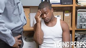 Case No. 1810045-15 - YoungPerps