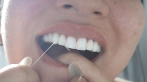 Mouth Fetish 4K: dirty teeth, cleaning, and total exposure