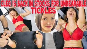 CLEO IS BACK IN STOCKS FOR UNBEARABLE TICKLES - FULL HD MP4