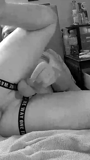 Chastity Cage Anal Fun