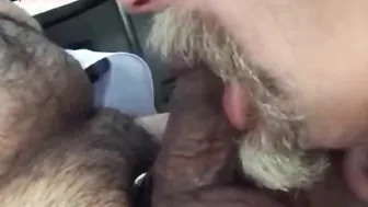Daddy Bear Sucks Cock at Truck Stop