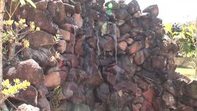 Irresistible milf anally screwed outdoors