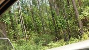 TRIP TO MOUNTAINS TO MEET MY SUPER HOT EX CO WORKER!