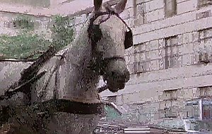 Super classic opus 27 4k