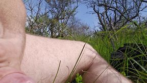 Wanking my big cock in the dunes