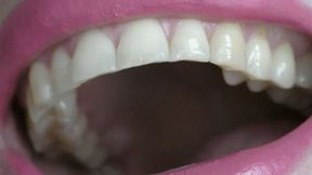 Mercilessly eating bears MP4 HD 720p