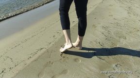 A1056 Lady Cat in Passeggiata al mare