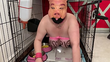 Fuckpig porn justafilthycunt humiliating degradation pig pissing caged piss drinking and eating from bowls