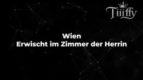 Wien - Erwischt im Zimmer der Herrin