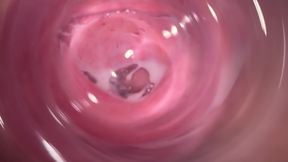 Camera deep inside Mia's tiny creamy vagina