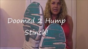 DOOMED TO HUMP STENCH mp4