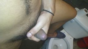 Milking All Day on the Toilet