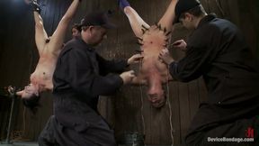 Jessie Cox In Submits With Wenona