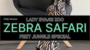 Zebra Temptation - Lace Up Heels & Elevated Leg Frame | 720p Version