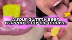 sweet temptation gummy bear