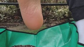 Sun, soil and soles