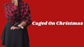 Caged On Christmas